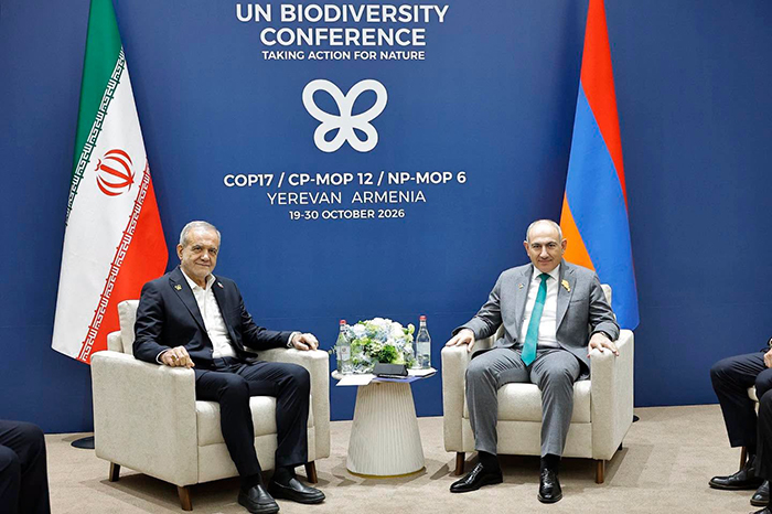 Armenian Prime Minister and Iranian President Discuss Implementation of Bilateral Agreements