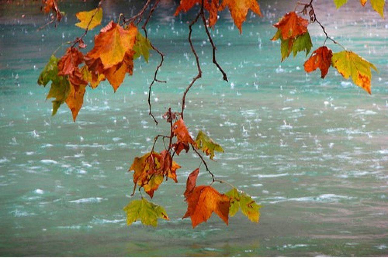 Rain and thunderstorms expected