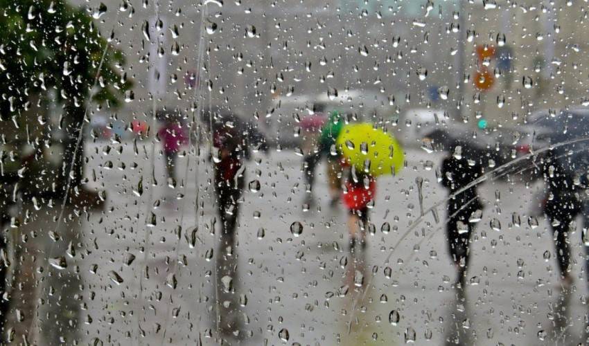 Rain is expected, thunderstorms are also possible.
