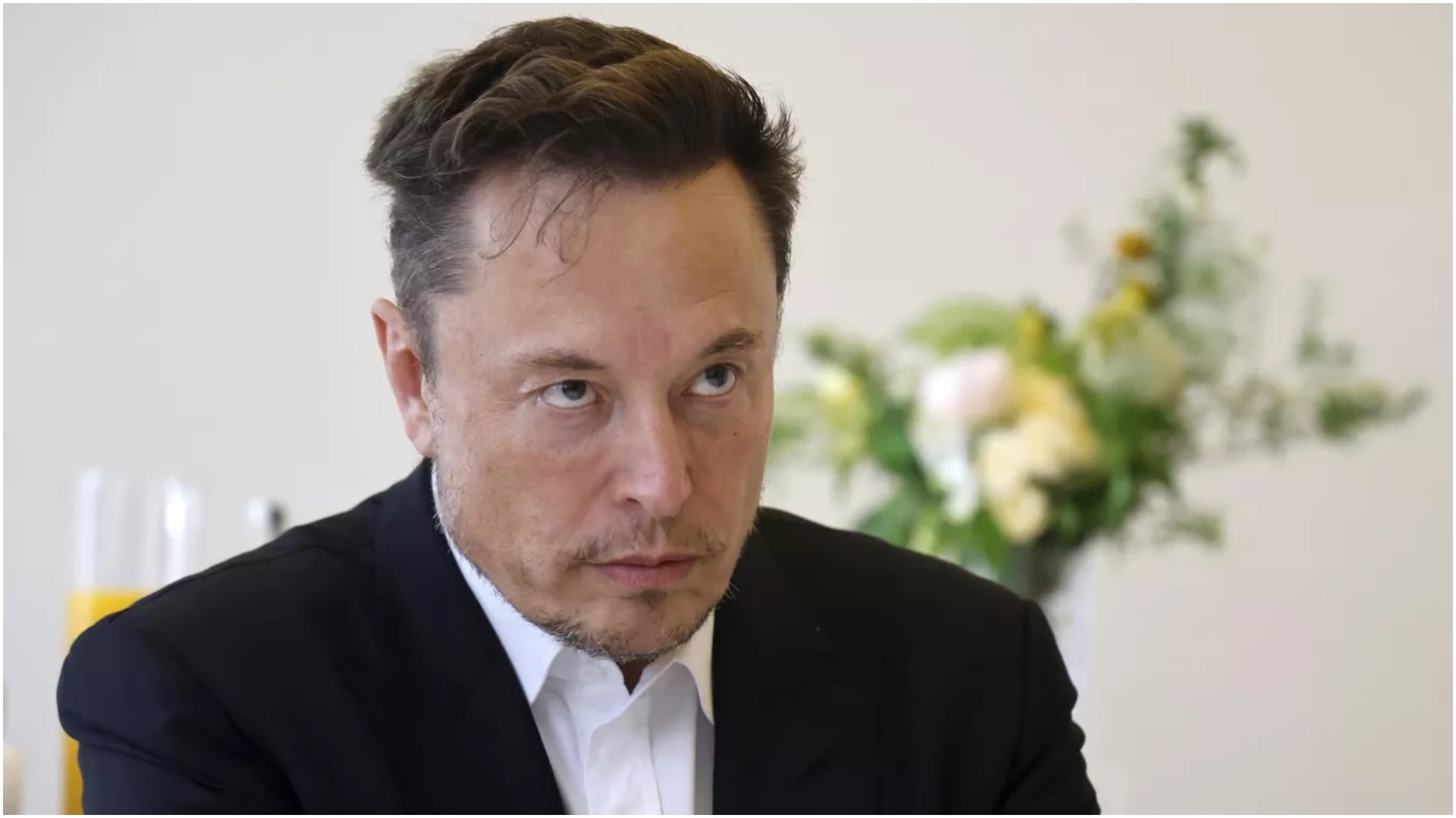 Elon Musk agrees with Trump's call to elect a new president in Ukraine