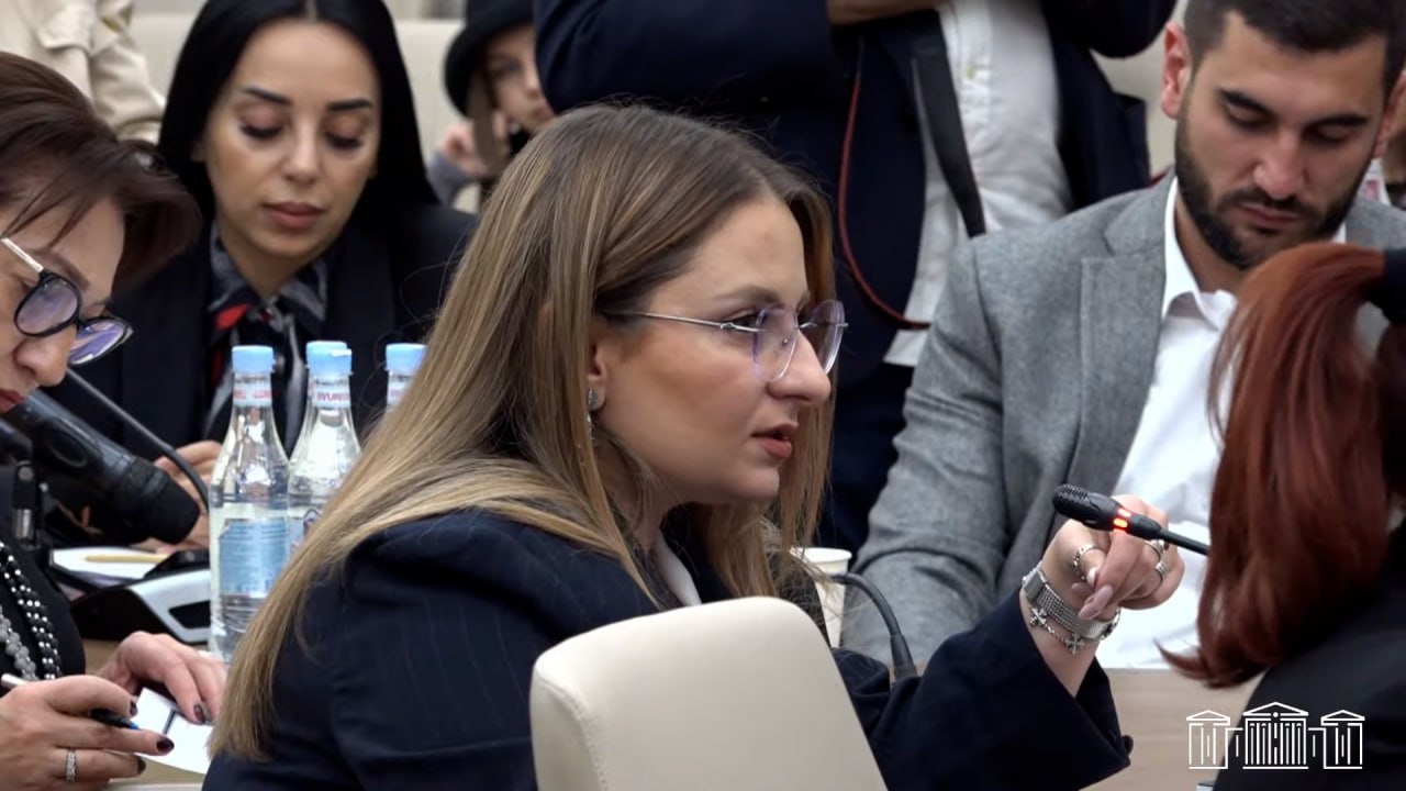Որտե՞ղ են TRIPP-ի փոխադարձ առավելությունները․ Քրիստինե Վարդանյանը՝ Միրզոյանին