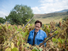 "There’s nothing like my plot of land”: Susan’s lost and regained farm