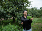 Parandzem’s persimmon orchard and the dream found in Getahovit