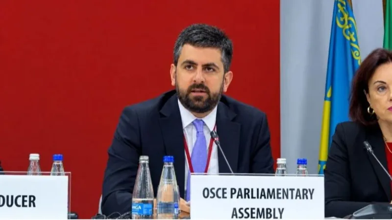 Election observation is much more than just an assessment of the electoral process. Sargis Khandanyan