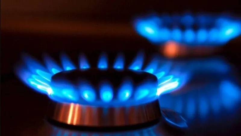 I don't know how much of a partnership this will be. Mirzoyan on the possible increase in gas prices by the Russian Federation.