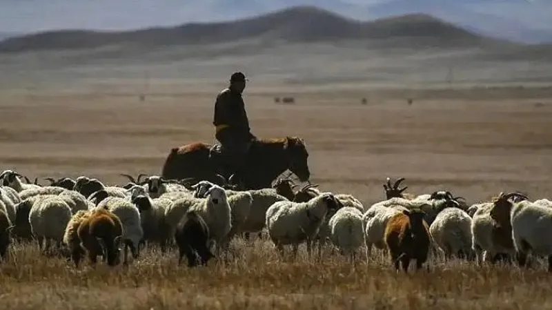 Details have emerged about the Azerbaijani shepherd crossing the border and entering Armenia.