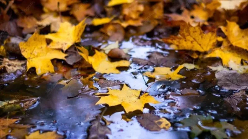 In certain regions of the Republic, short-term rain is expected.