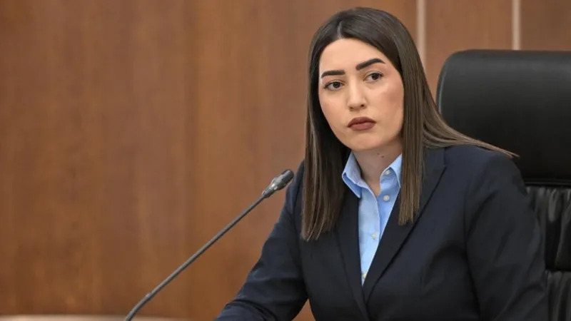 The continuation of proceedings in cases of domestic violence will not depend on the victim's complaint. Sargsyan