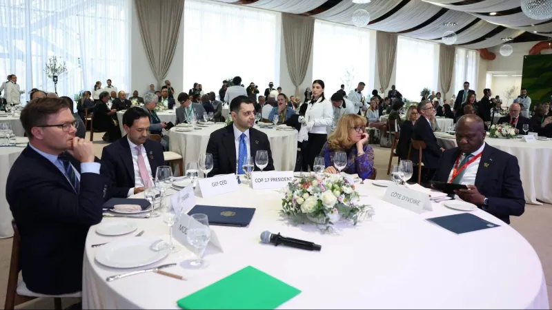 From Aspirations to Action: Accelerating the Implementation of the Global Biodiversity Framework on the Agenda of COP17
