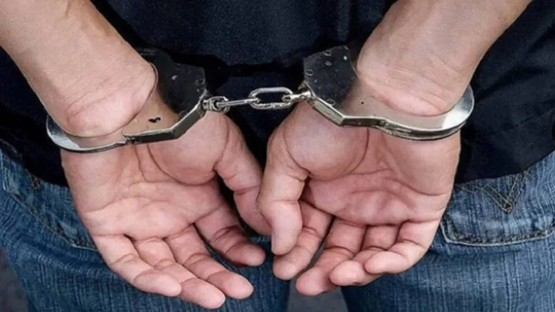 Four individuals have been arrested, including the head of the Constitutional Law Department at Yerevan State University.
