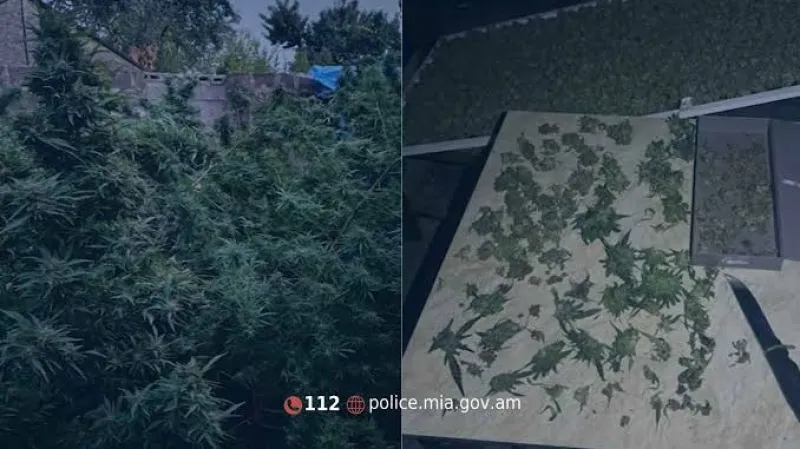 9 kg of dried cannabis mass has been discovered; 1 person has been arrested.