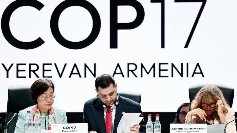 The final official plenary sessions of the COP17 conference taking place in Yerevan are underway.