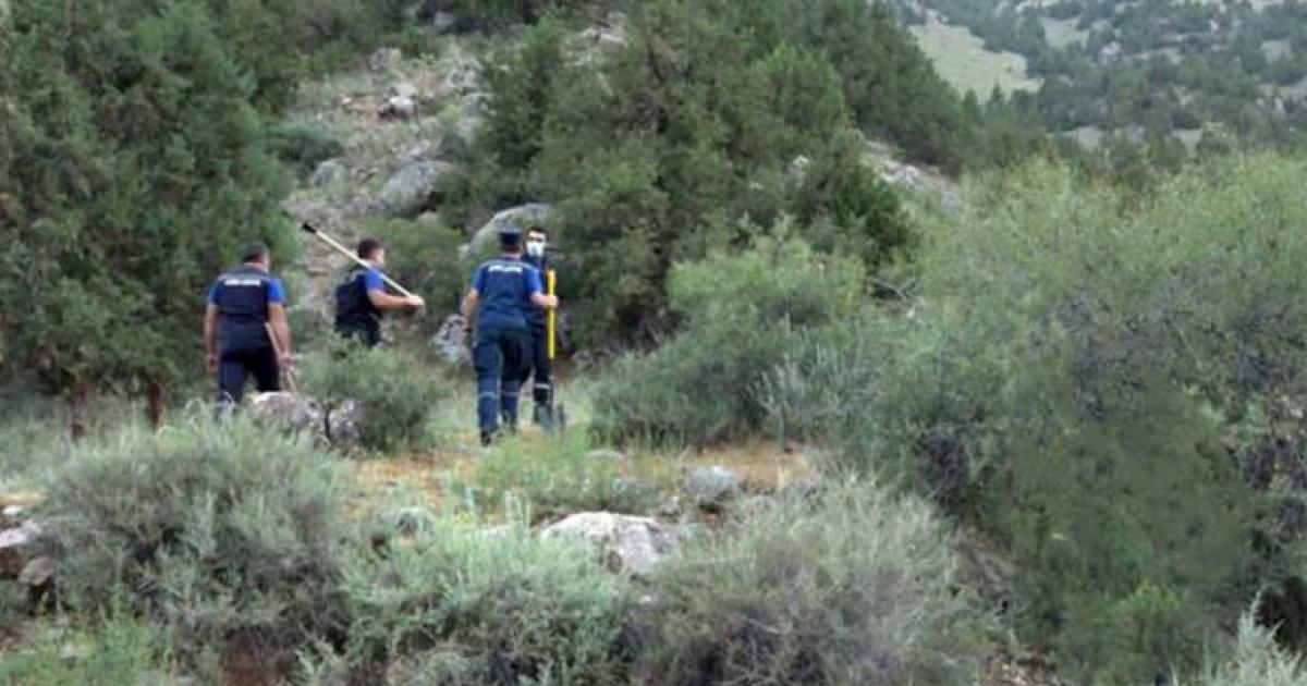 Փրկարարները հայտնաբերել են մոլորված քաղաքացիներին