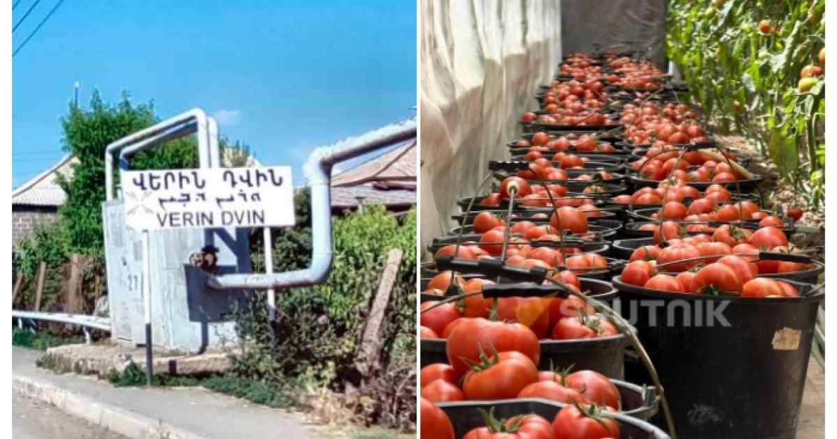 Վերին Դվինում լարված իրավիճակ է. լոլիկի դաշտատերերը փակել են Երևան-Արտաշատ մայրուղին