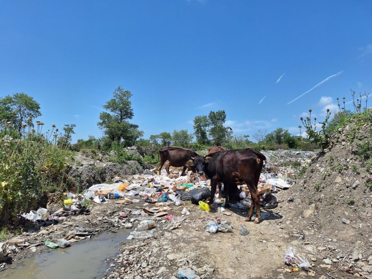A Chinese, Arab, and Armenian consortium will build a waste processing plant in Yerevan