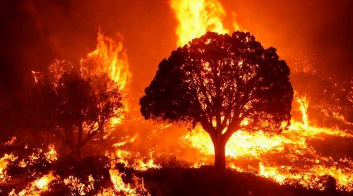 Alianza transfronteriza entre Armenia y Georgia para la gestión de incendios forestales