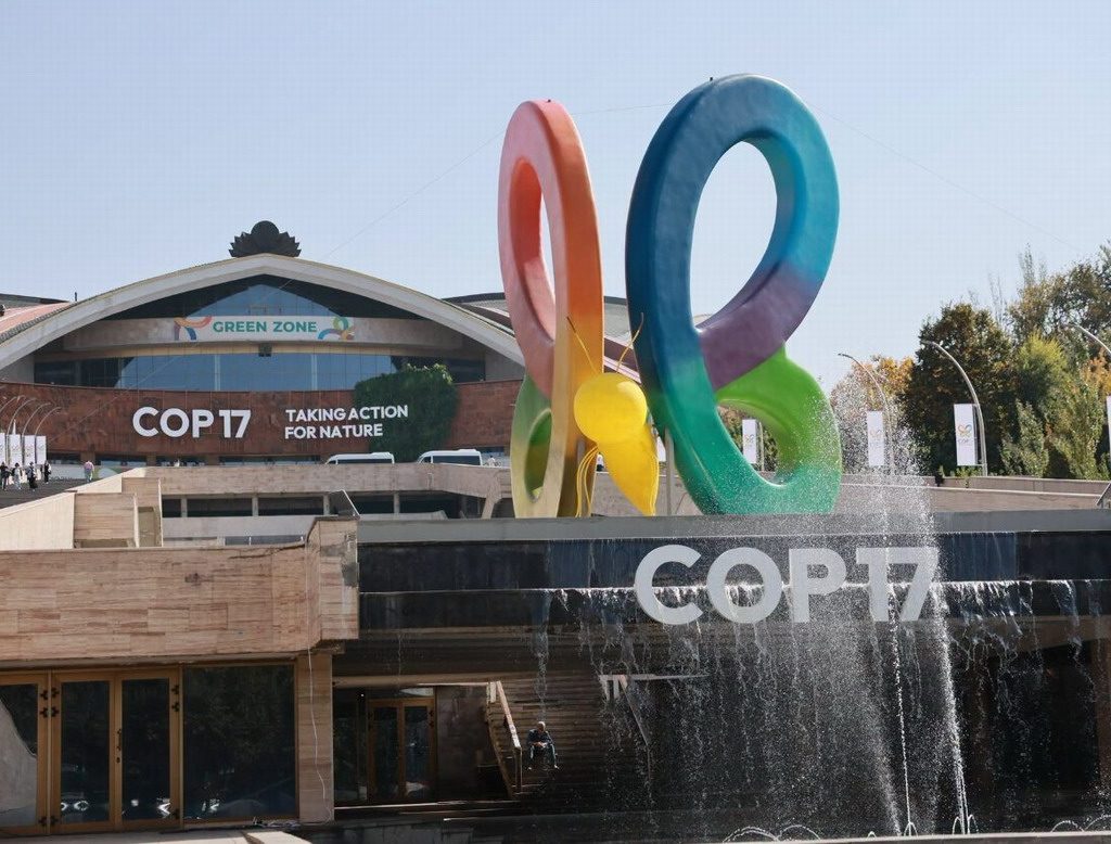 En la COP17 aseguran que es prioritario en Armenia el desarrollo de las energías renovables y la inversión en redes de almacenamiento