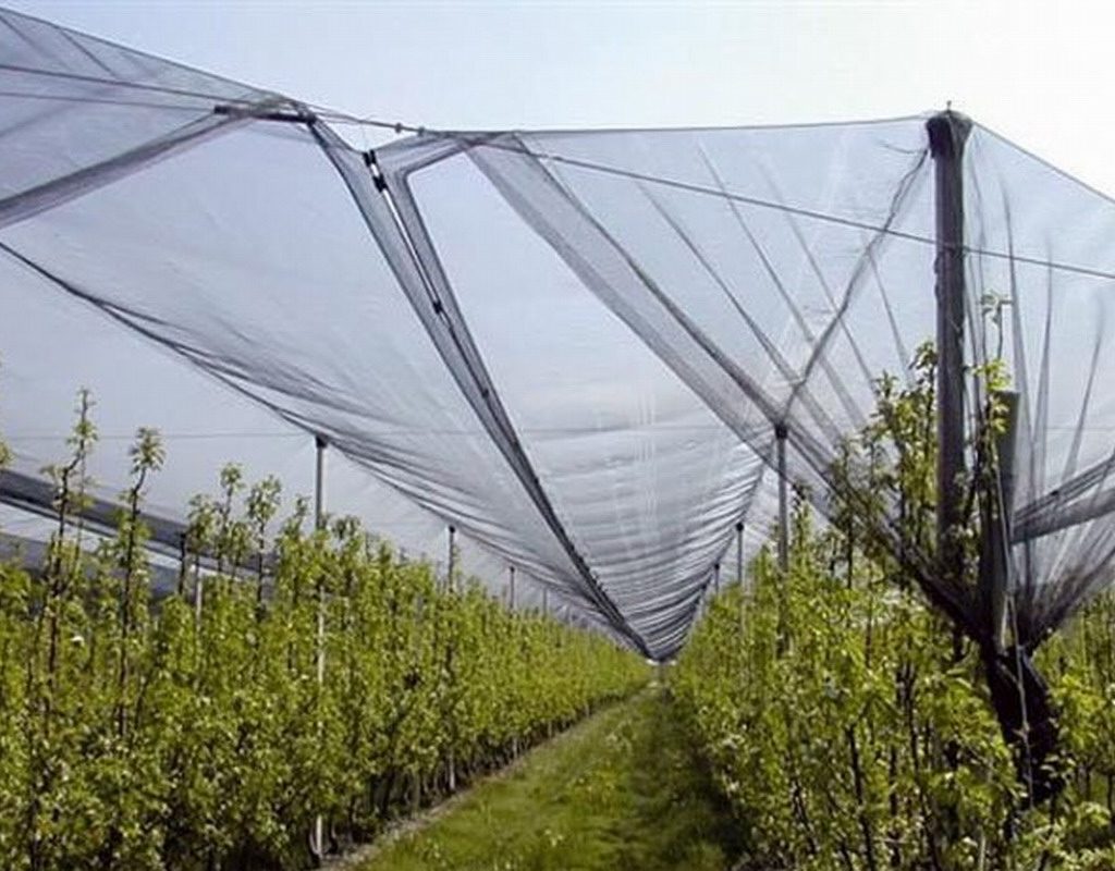 World Bank to support Armenia's strategic reforms in the agri-food sector for 2026-2031