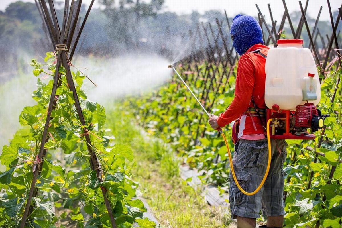 El aumento de pesticidas peligrosos amenaza la salud y el medio ambiente en Armenia