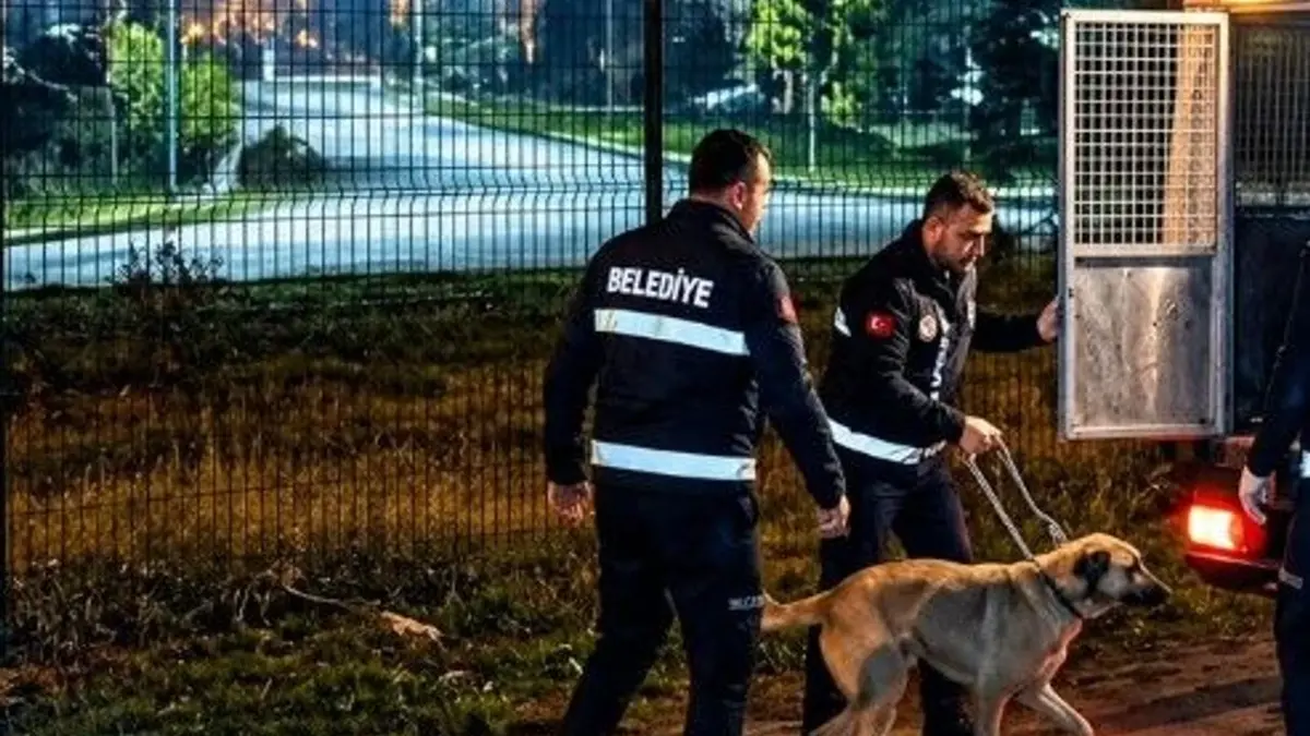 Üniversite kampüsleri kime ait?