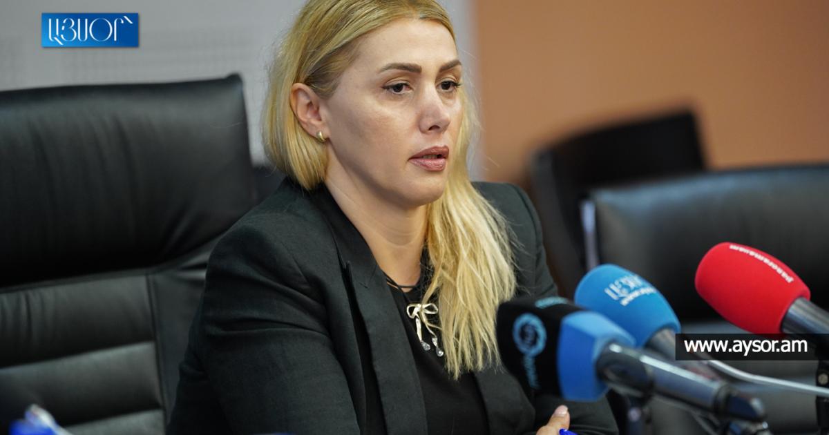 Հայաստանի արդարադատության հրաշքը. երբ ներդրողը դառնում է մեղադրյալ, իսկ պարտքը՝ հանցագործության պատմություն. Էլինար Վարդանյան