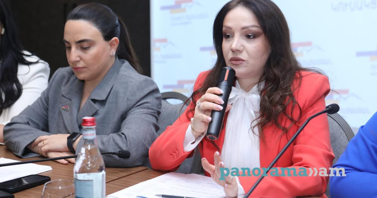 Armenian opposition questions COP17 procurement costs