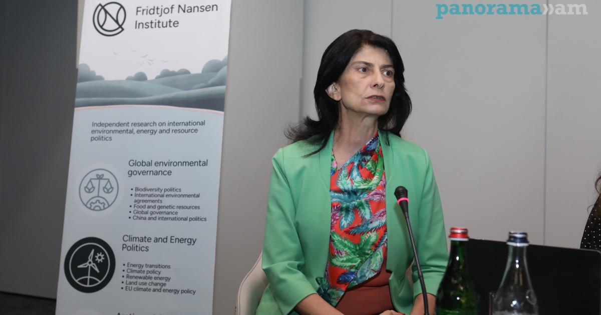 Environmental lawyer says Armenian government stake in mining firms leaves activists unprotected