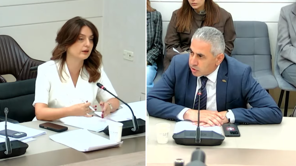 Автор на този проект е жена, която от време на време живее с премиера