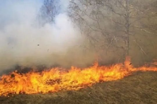 Fire near Tsitsernakaberd highway