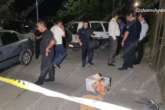 He ran over his son-in-law and fled, the latter died.