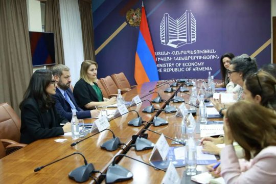 Պապոյանն ընդունել է ՎԶԵԲ-ի Թուրքիայի և Կովկասի հարցերով գործադիր տնօրենին