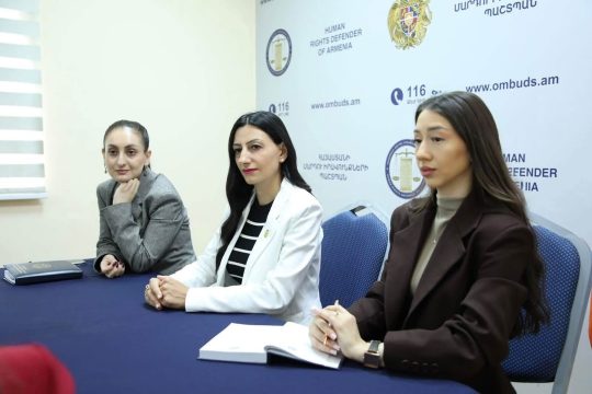 The Human Rights Defender of the Republic of Armenia met with representatives of the NGO "Shaboyan Non-Formal Youth Platform"