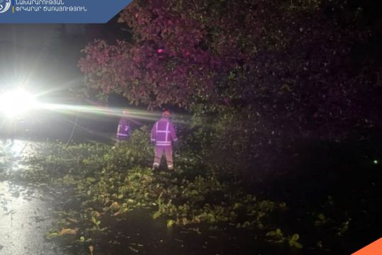 A tree fell on the road in Ijevan. Rescuers removed it.