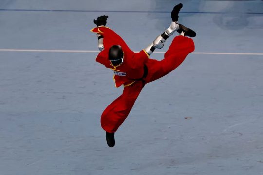 China slows down IPO process for humanoid robots