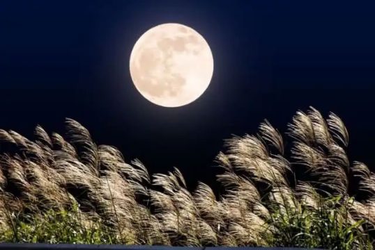 "Harvest Full Moon": Take a look at the sky