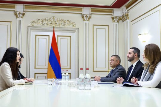 Ռուբեն Ռուբինյանն ու Տատյանա Պանայոտովիչ-Ցվետկովիչը քննարկել են Հայաստան-Սերբիա համագործակցության ընդլայնմանն առնչվող հարցեր