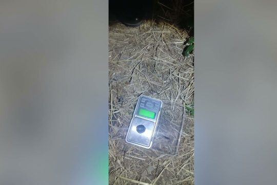 Police arrest young man planting drugs; 21 packages of marijuana seized