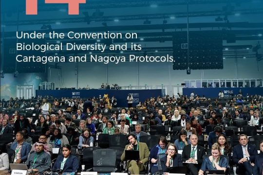 COP17․ Առաջին շաբաթվա ընթացքում ընդունվել է 14 որոշում