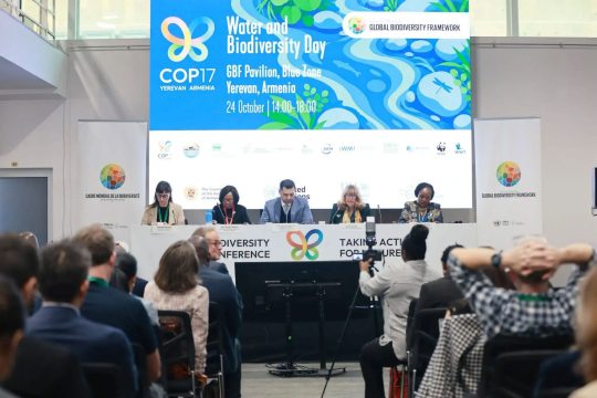 Ջրի անվտանգությունը՝ COP17-ի օրակարգում