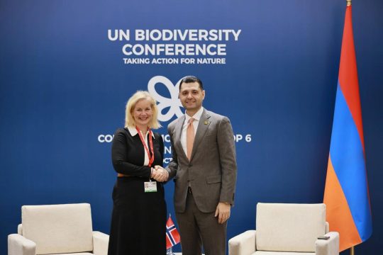 COP17-ի շրջանակում հանդիպել են Հայաստանի և Նորվեգիայի շրջակա միջավայրի նախարարները
