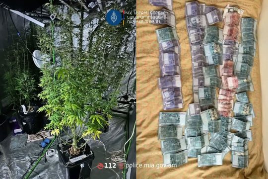 The bedroom was turned into a greenhouse for growing cannabis.