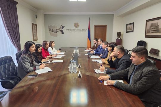 Քաղաքաշինության կոմիտեում քննարկվել են ներդրումային ծրագրերի իրականացման շրջանակում քաղաքաշինական ընթացակարգերին առնչվող հարցեր