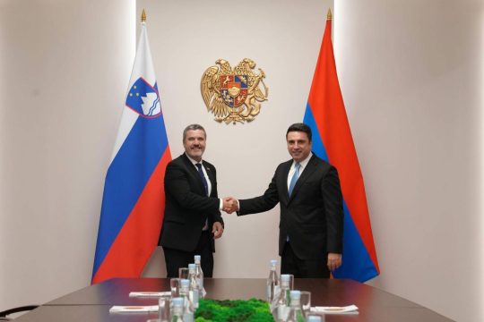 Ալեն Սիմոնյանը հանդիպել է Սլովենիայի արտաքին և եվրոպական գործերի նախարարի հետ