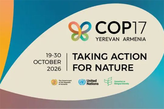 COP17-ում ընդունվել է պատմական որոշում. Համբարձում Մաթևոսյան