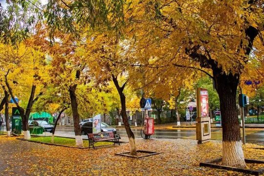 Տեղումներ չեն սպասվում, օդի ջերմաստիճանը կնվազի