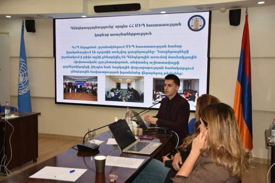 The representative of the Human Rights Defender of the Republic of Armenia participated in the meeting of the Gender Thematic Group