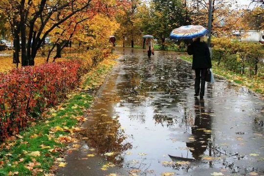 Rain and thunderstorms expected