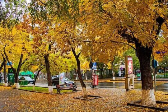 Սպասվում է առանց տեղումների եղանակ