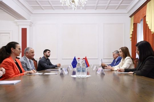 «Հայաստան» խմբակցության պատգամավորները ու ԵՄ դեսպանը քննարկել են ժողովրդավարության և տարածաշրջանային խաղաղության հարցերը