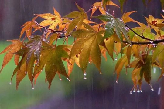 Precipitation is expected, possibly hail.